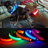 Glow in the Dark Dog Colar LED with USB rechargeable
