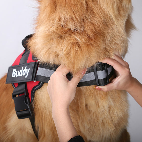 Personalized Dog Harness Reflective